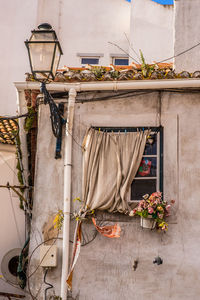 Potted plants outside building