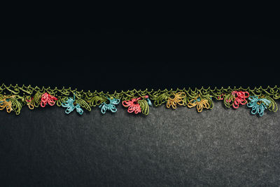 Close-up of multi colored flowers against black background