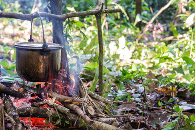 Container over campfire on field at forest