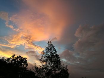 Low angle view of silhouette trees against sky during sunset