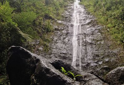 Scenic view of waterfall in forest