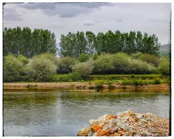 Scenic view of river in forest against sky