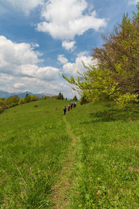 Group of people on grassy field