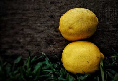 High angle view of lemon on table