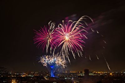 Low angle view of firework display in sky at night