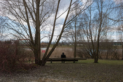 Bare trees on grass against sky