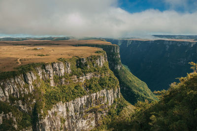 Fortaleza canyon with steep rocky cliffs covered by forest near cambará do sul. brazil.