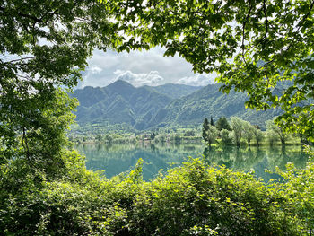 Scenic view of lake in forest against sky