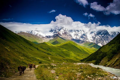 Scenic view of mountains against sky