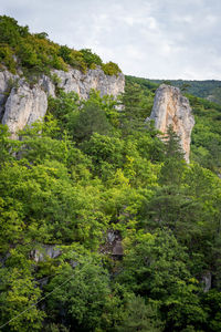 Scenic view of mountain against sky