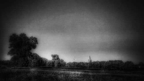 Trees on field against sky