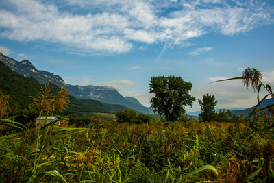 Empty wooden bench at the sides of the promenade around the lake at lago di caldaro in bolzano italy