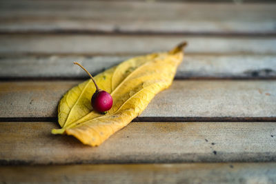 Close-up of fruits on table