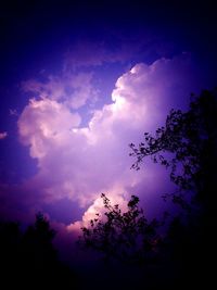 Low angle view of silhouette trees against sky at sunset