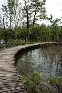 Scenic view of lake in forest against sky