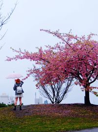 Rear view of man standing on tree