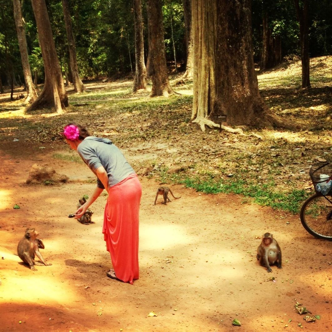 Feeding monkeys