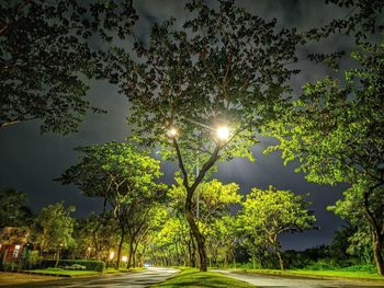 Low angle view of illuminated street light against sky