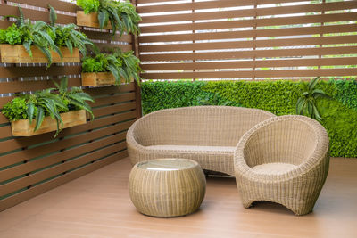 Potted plants on table