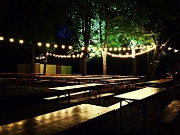 Illuminated trees at night