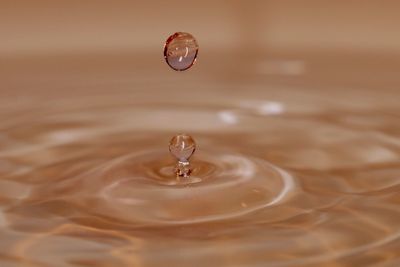 Close-up of water drop