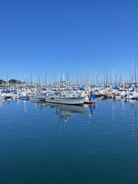 Sailboats moored in harbor against clear blue sky