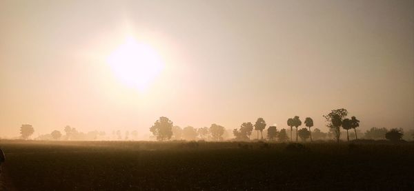 Trees on field against sky during foggy weather