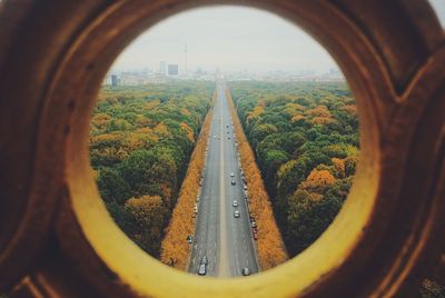 View of trees seen through from window