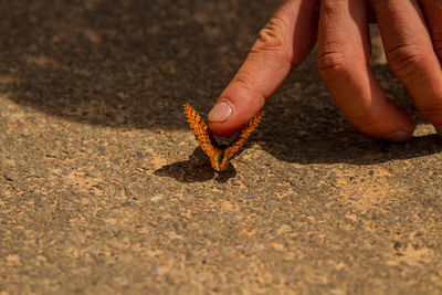 Human hand holding sand