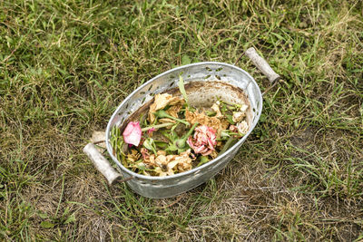 High angle view of meal served in field