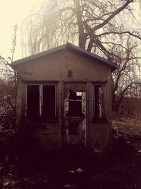 Old wooden house on field against trees in forest