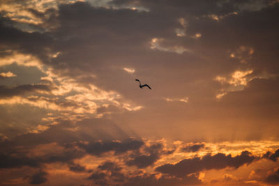 Low angle view of silhouette airplane flying against sky during sunset