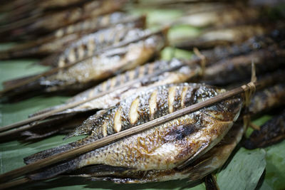 Close up tilapia fish grill, street food