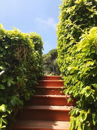 Staircase amidst trees against sky