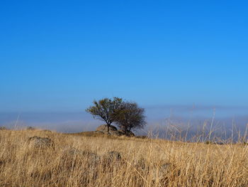 Scenic view of land against clear blue sky