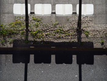 Close-up of plants on stone wall