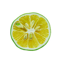 Close-up of lemon slice against white background