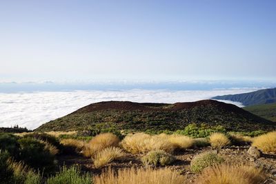 Scenic view of landscape against sky