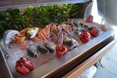 High angle view of various seafood stored on ice filled container