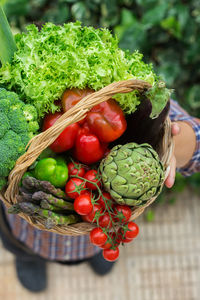 Assortment of ripe vegetables from orchard in farmer hands. harvest concept, farm, market delivery