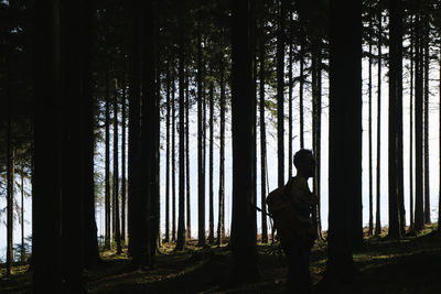 Man standing by trees in forest