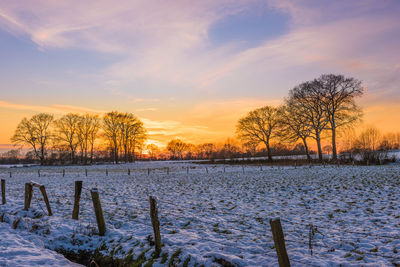 Bare trees on snow covered field against sky during sunset