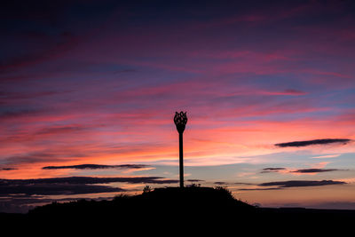 Silhouette of trees at dusk