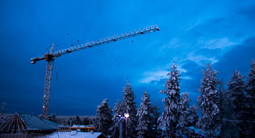 Cranes against sky during winter