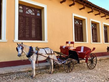 Horse cart by a colonial building in trinidad cuba