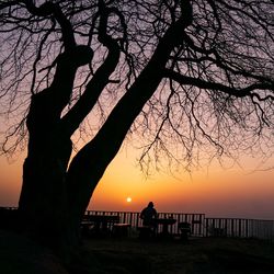 Silhouette bare tree against orange sky