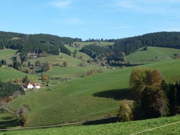 Scenic view of agricultural field against sky