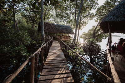 Footbridge over footpath amidst trees