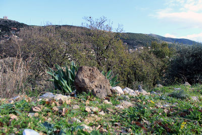 Surface level of land against sky