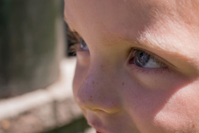 Close-up portrait of boy